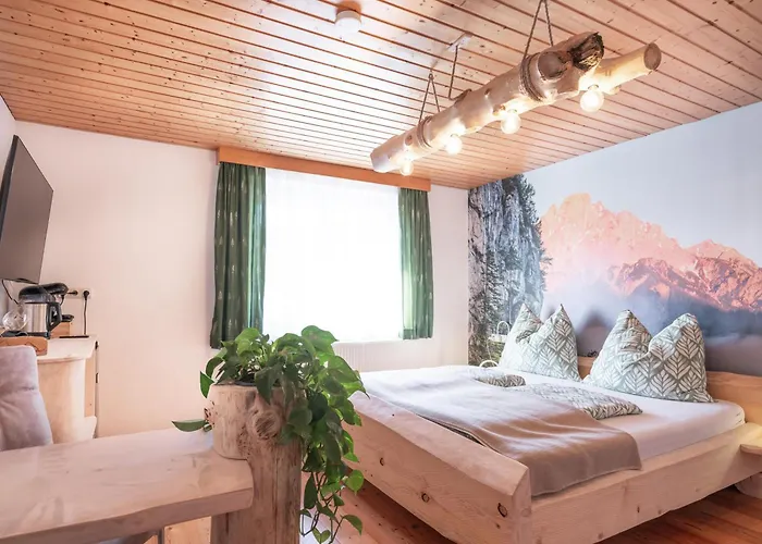 Xeis NeSt